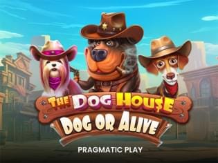 The Dog House – Dog or Alive thumbnail
